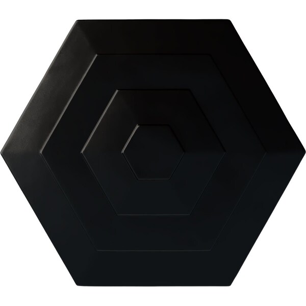 Ekena Millwork Woodruff Ceiling Medallion, Hand-Painted Jet Black, 23 1/4"OD x 7/8"P CM23WFBLF - main